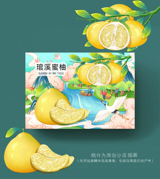琯溪蜜柚插畫包裝