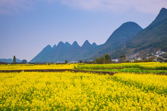 春天的田野