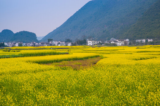 田园风光