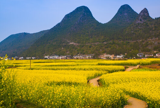 田园风光