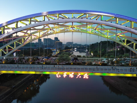 自贡网红桥