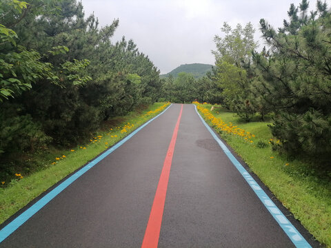 盘山公路