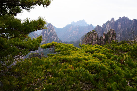 黄山风景