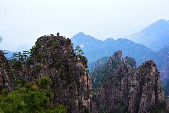 黄山美景