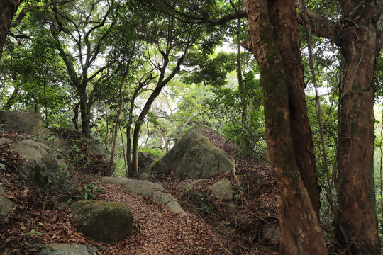 深圳梅林山公园