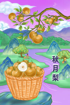 秋月梨包裝插畫