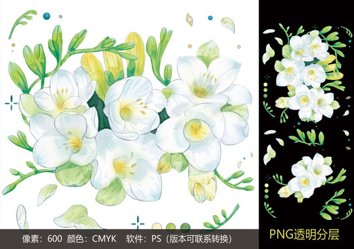 手繪小蒼蘭素材
