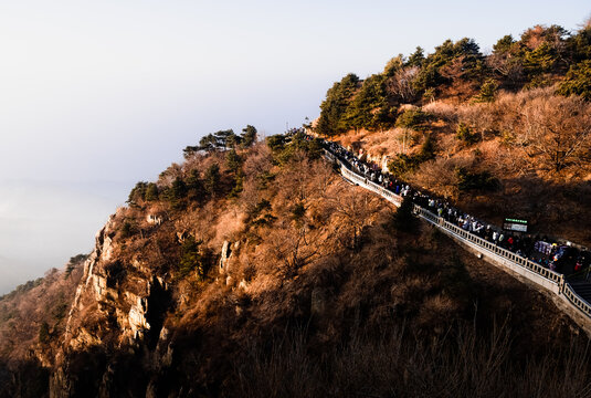 泰山风光