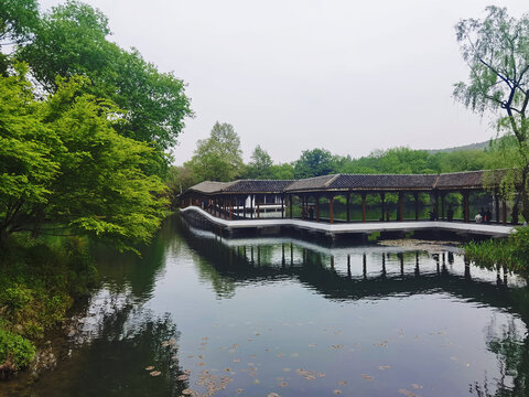 杭州烟雨西湖景区湖景