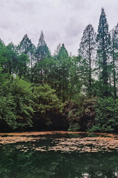 杭州烟雨西湖景区景区文化遗产