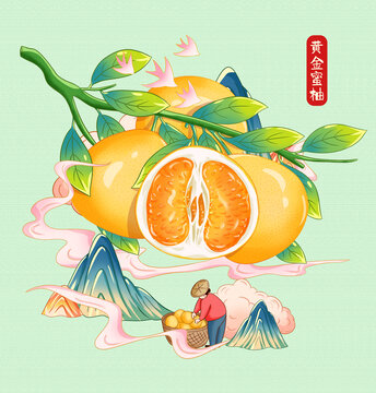 黃金蜜柚插畫手繪