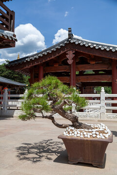 五台山古文殊寺蓝天白云古建