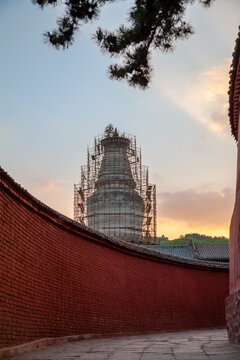 五台山塔院寺大白塔寺庙古建