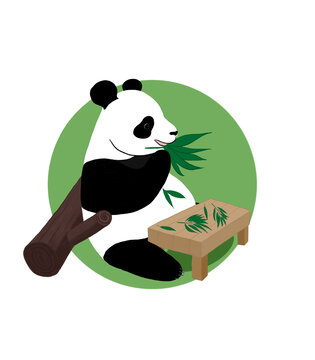 熊貓吃竹葉