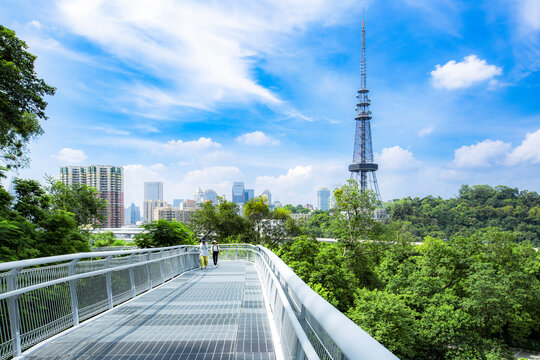 广州云道