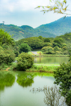 萝岗水声水库