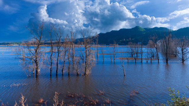 云南会泽念湖湿地风景