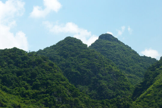 青山绿水