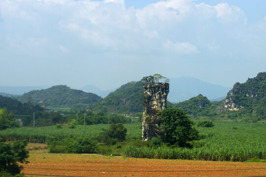 青山