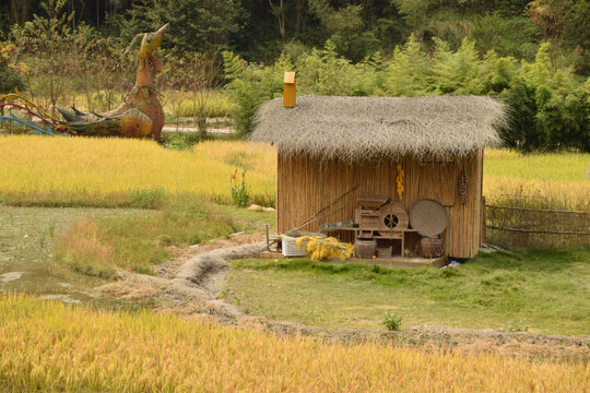 田野风光