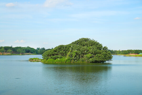 海珠湖风景