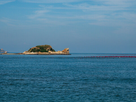 海王九岛