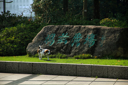 芜湖鸠兹广场