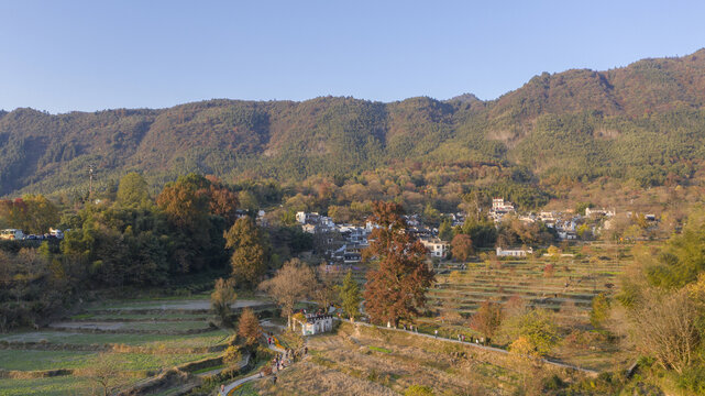 山村秋天