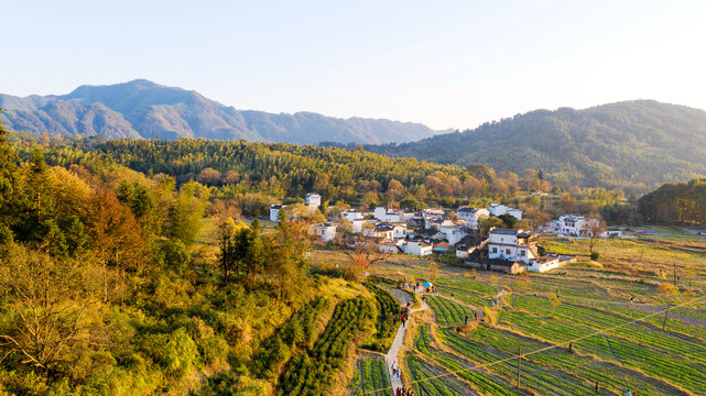 大山森林山村