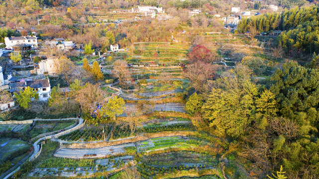 秋天树林田野