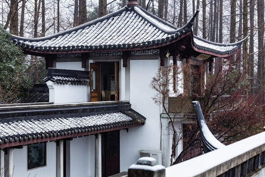 杭州曲院风荷雪韵