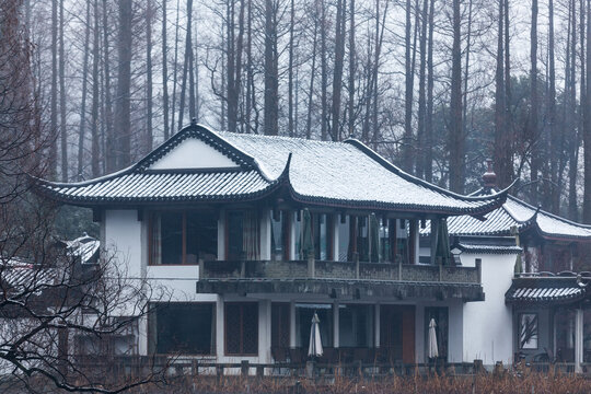 杭州曲院风荷雪韵