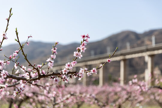 铁路元素素材