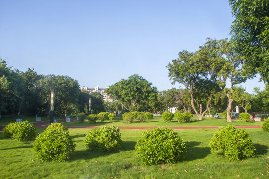公园绿化植物景观
