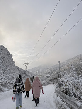 上山看雪