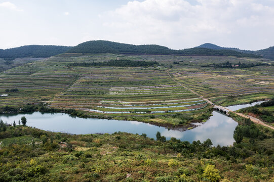 荒山变梯田