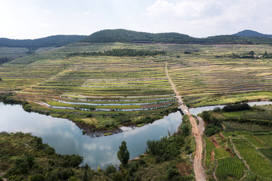 荒山变梯田