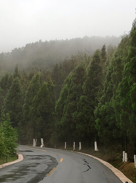 森林公路盘山公路