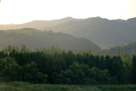 山峰森林薄雾