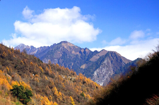 川西秋景