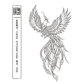 鳳凰插畫線稿
