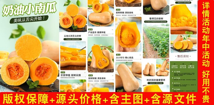 奶油小南瓜詳情頁(yè)