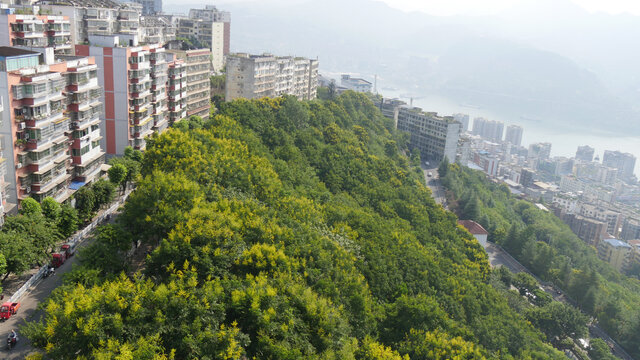 长江三峡巫峡两岸秋色迷人