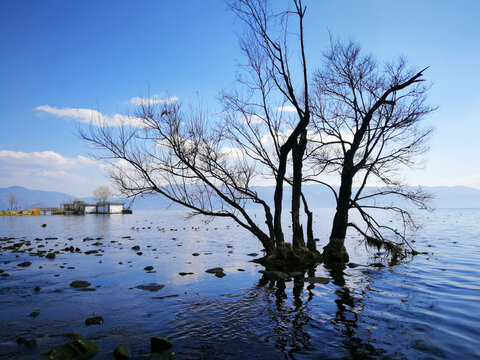 大理洱海