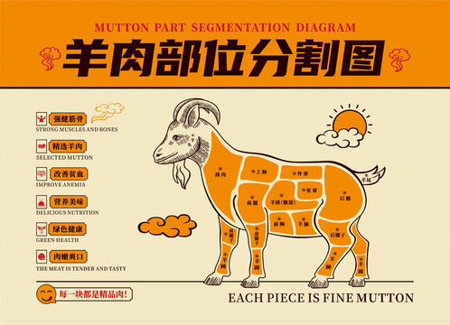 羊肉分解圖