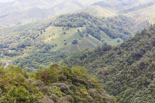 大山风景