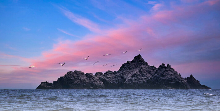 海岸风景