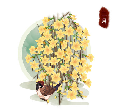 十二月花之迎春花手繪插畫