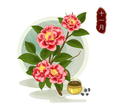 十二月花之茶花手繪插畫