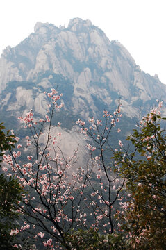 安徽黄山旅游